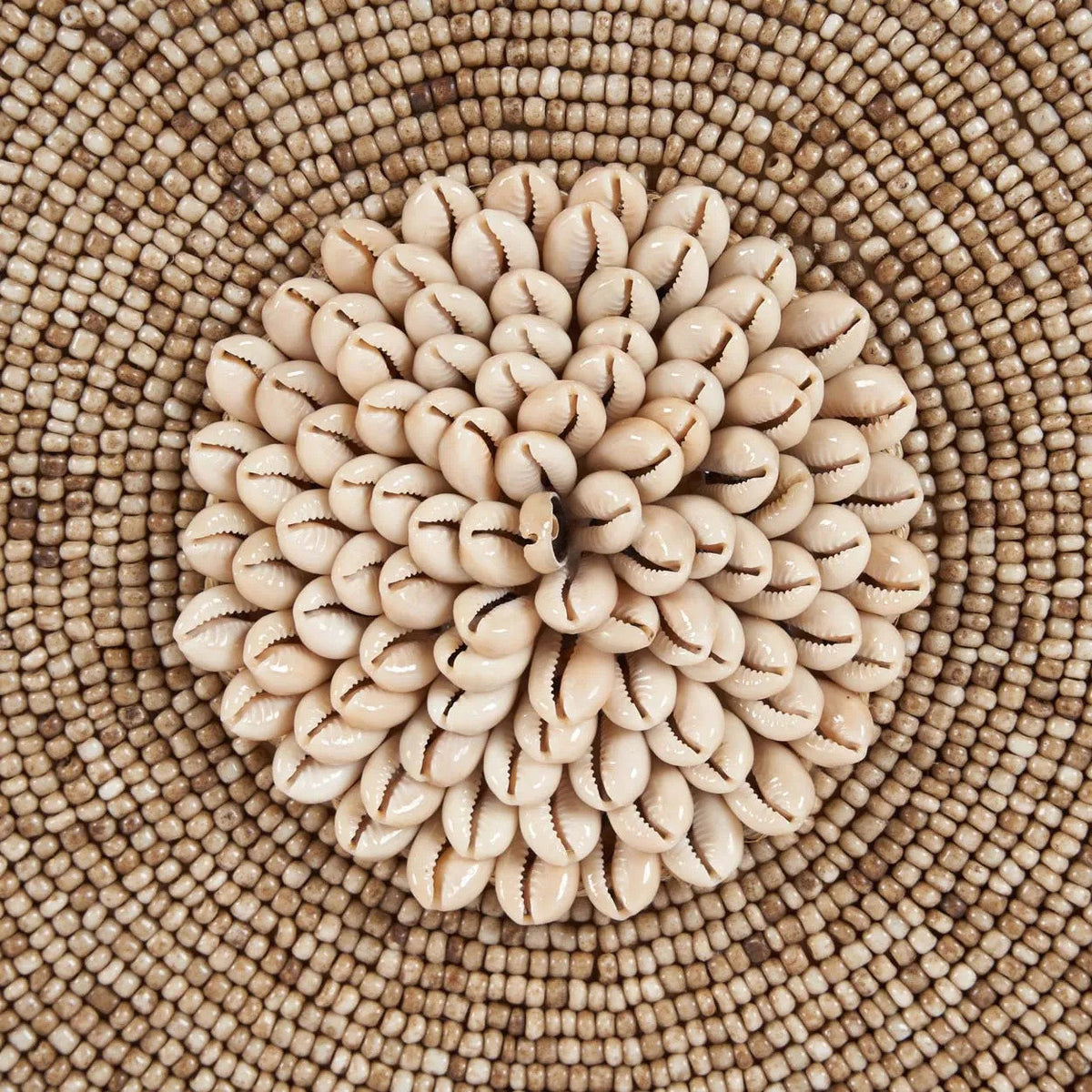 Décoration en coquillages sur socle – Blanc naturel