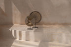 Décoration en coquillages sur socle – Naturel