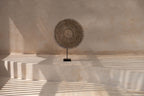 Décoration en coquillages sur socle – Blanc naturel